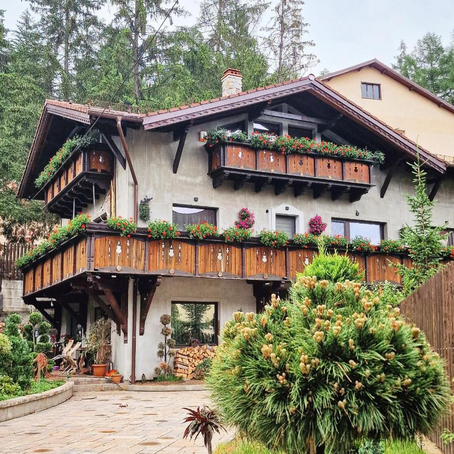 Amor Tirol Busteni (Adults Only) Екстер'єр фото