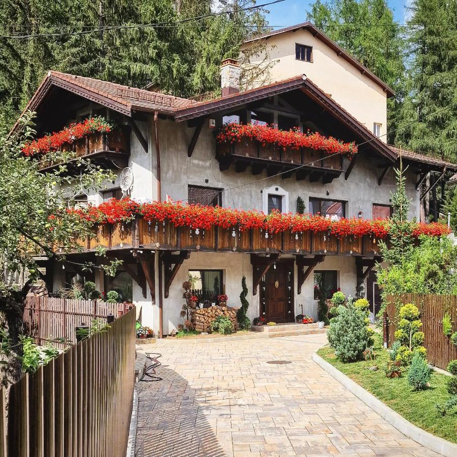 Amor Tirol Busteni (Adults Only) Екстер'єр фото
