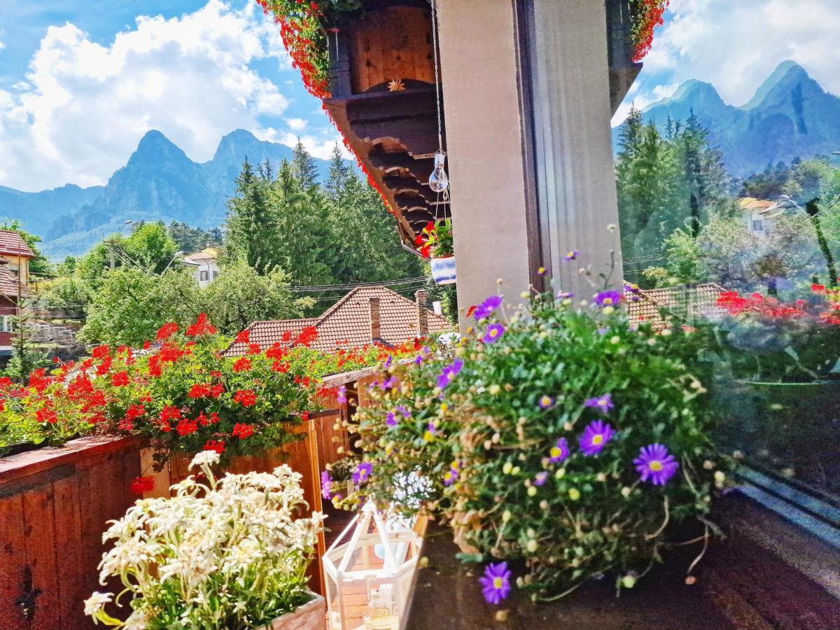 Amor Tirol Busteni (Adults Only) Екстер'єр фото