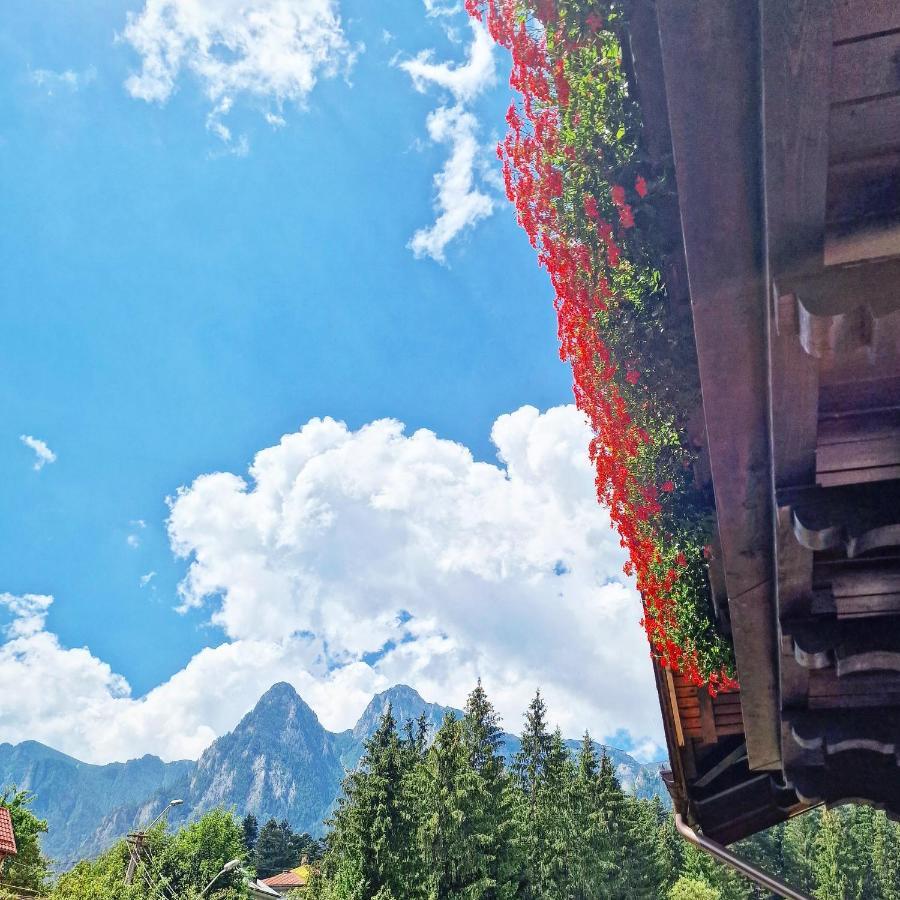 Amor Tirol Busteni (Adults Only) Екстер'єр фото