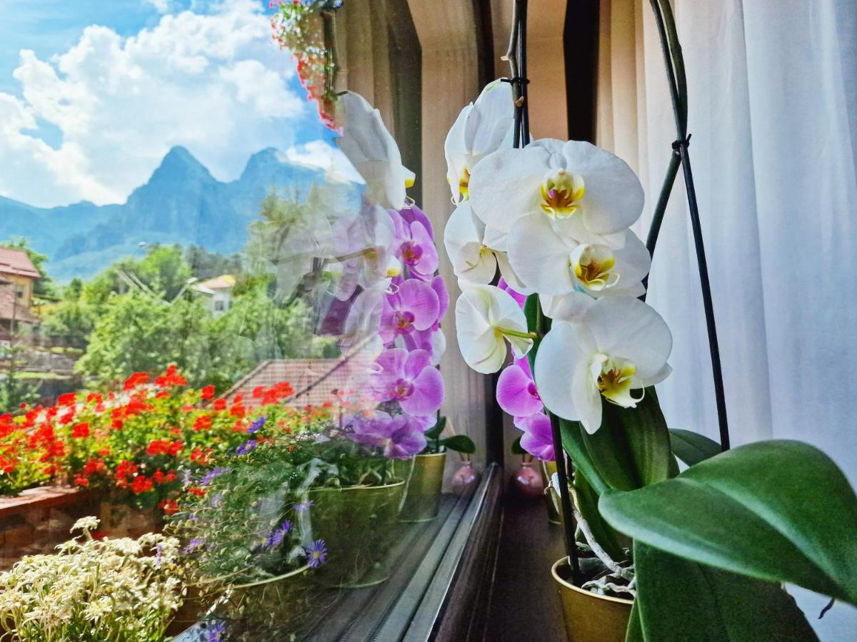 Amor Tirol Busteni (Adults Only) Екстер'єр фото