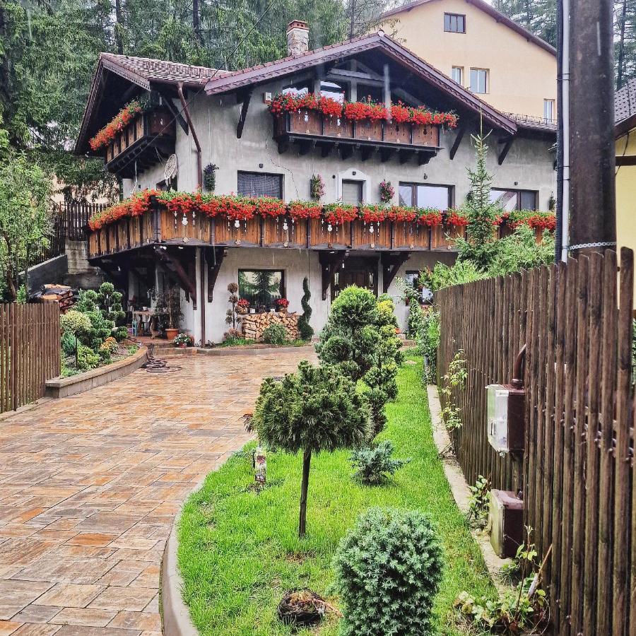 Amor Tirol Busteni (Adults Only) Екстер'єр фото