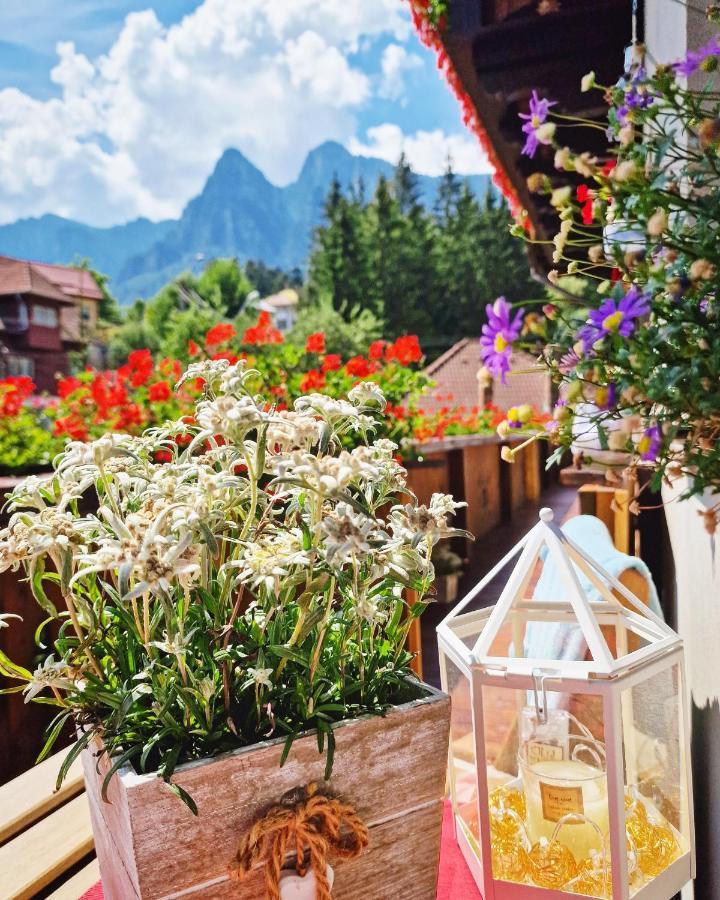 Amor Tirol Busteni (Adults Only) Екстер'єр фото