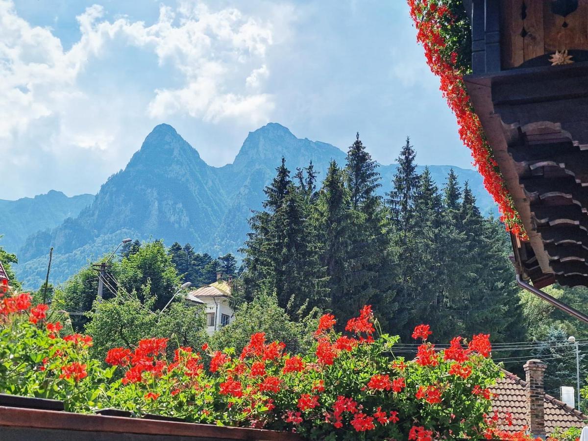 Amor Tirol Busteni (Adults Only) Екстер'єр фото