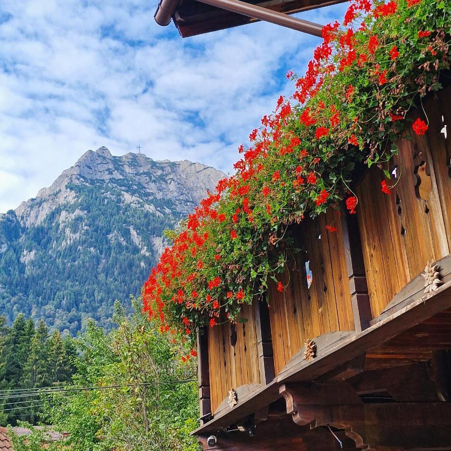 Amor Tirol Busteni (Adults Only) Екстер'єр фото