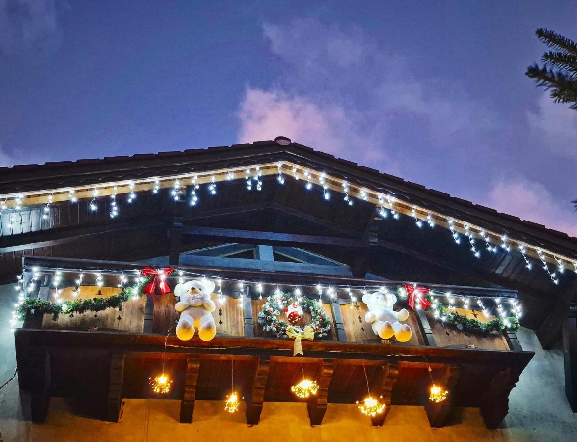 Amor Tirol Busteni (Adults Only) Екстер'єр фото